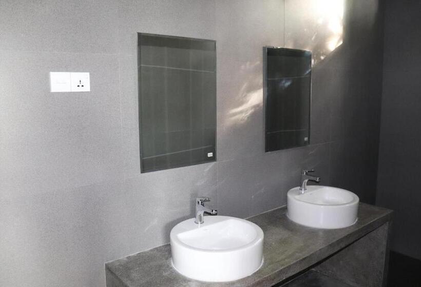 סטודיו דלוקס, Paradiso