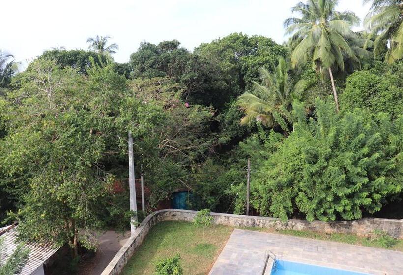 סטודיו דלוקס, Paradiso