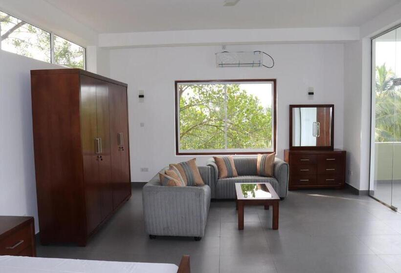 סטודיו דלוקס, Paradiso