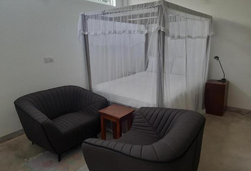 סטודיו סטנדרטי נוף לגינה, Paradiso