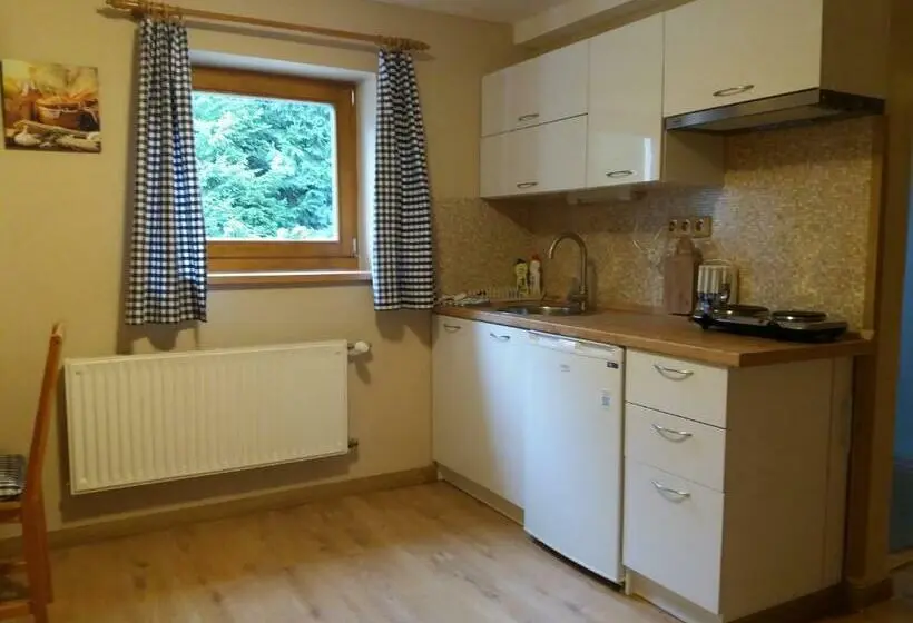 Apartament 1 Sypialnia, Pension Rieger
