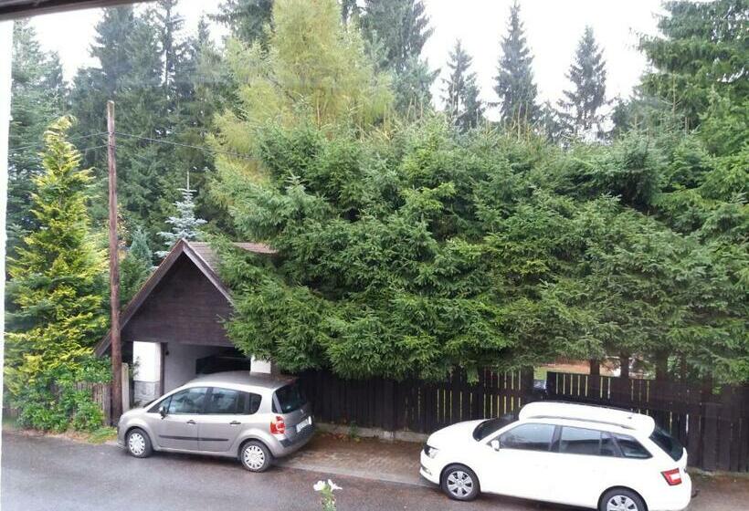 １ベッドルームアパートメント, Pension Rieger