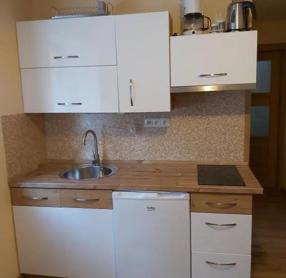 Apartament 1 Sypialnia Parter, Pension Rieger
