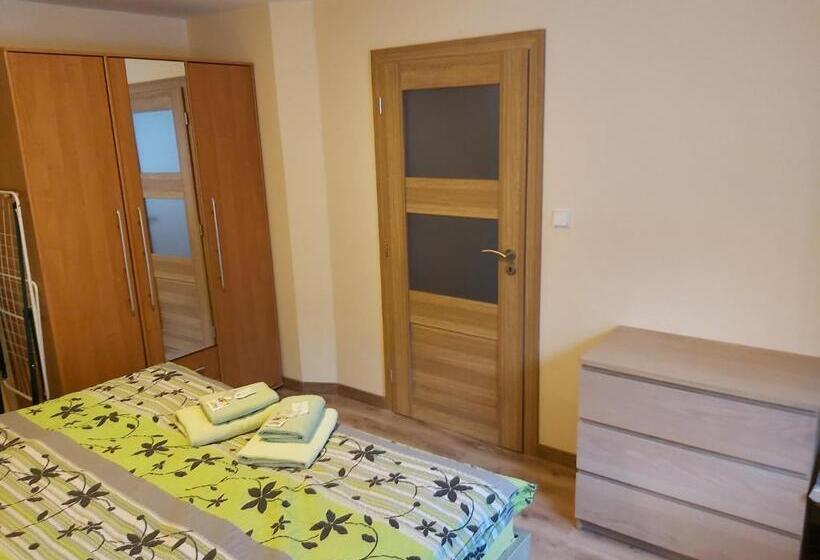 １階の１ベッドルームアパートメント, Pension Rieger