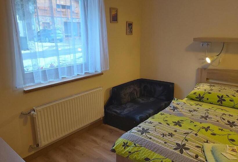 １階の１ベッドルームアパートメント, Pension Rieger