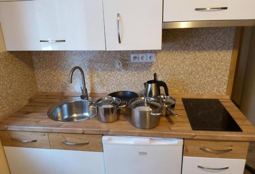 １階の１ベッドルームアパートメント, Pension Rieger