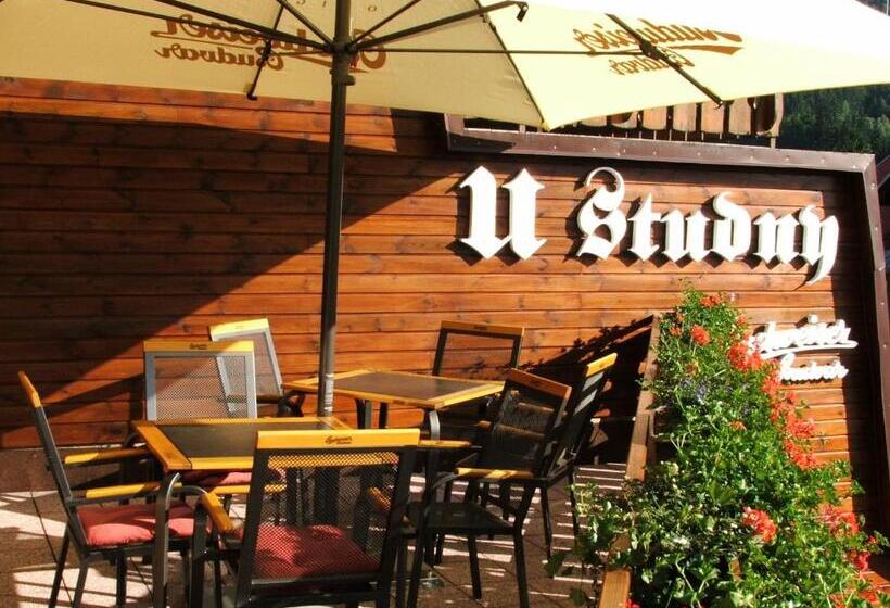 غرفة قياسية رباعية, Pension U Studny