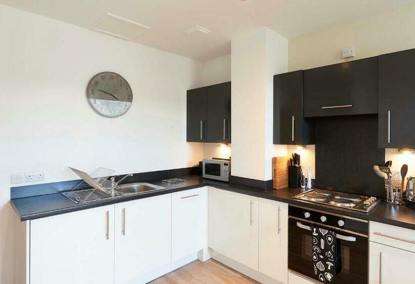 استودیوی استاندارد, Braid Apartments By Mansley