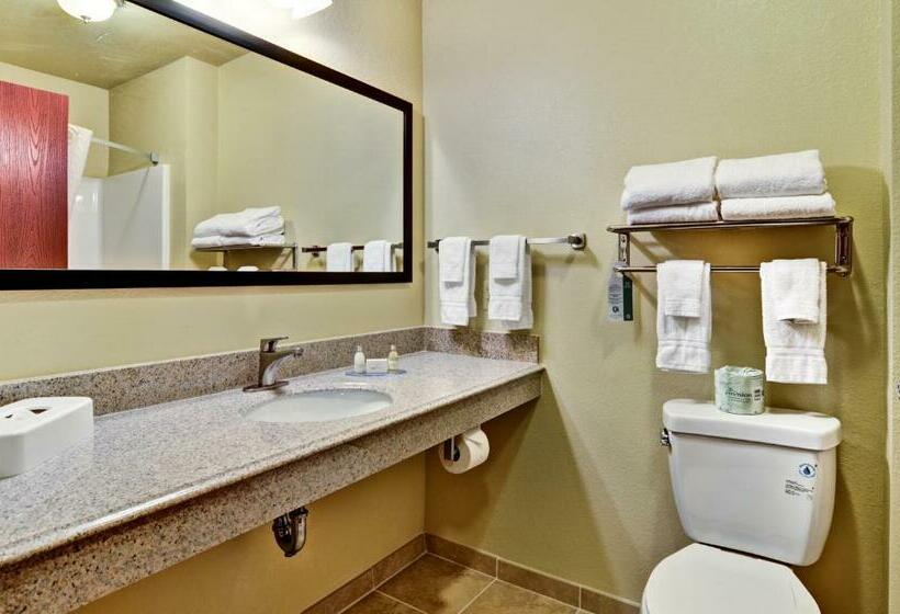 غرفة ديلوكس سرير كينج, Cobblestone Inn & Suites  Ambridge