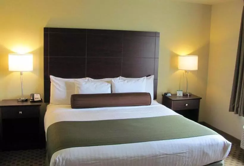 身障者適用キングサイズベッドルーム, Cobblestone Inn & Suites  Ambridge