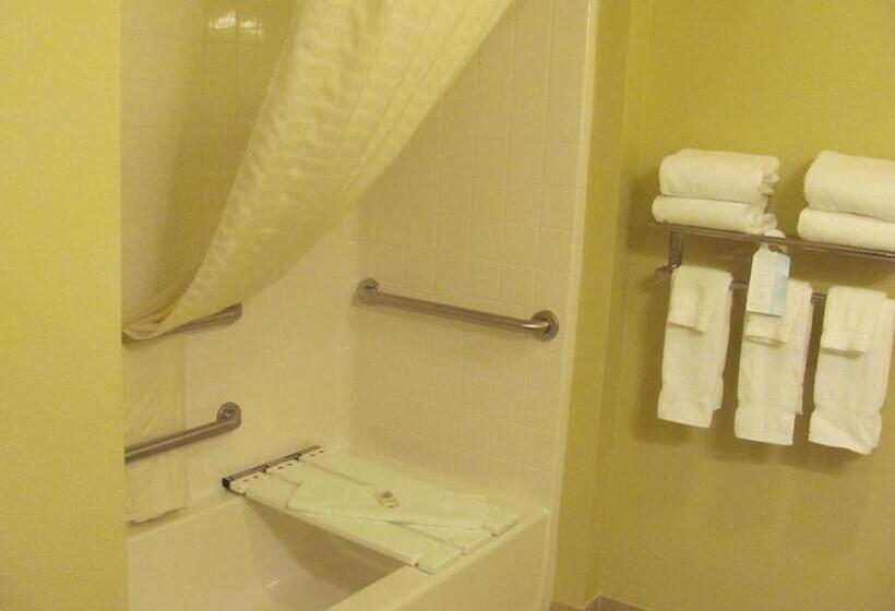 Номер Стандарт Кровать Кинг Адаптированный для Инвалидов, Cobblestone Inn & Suites  Ambridge