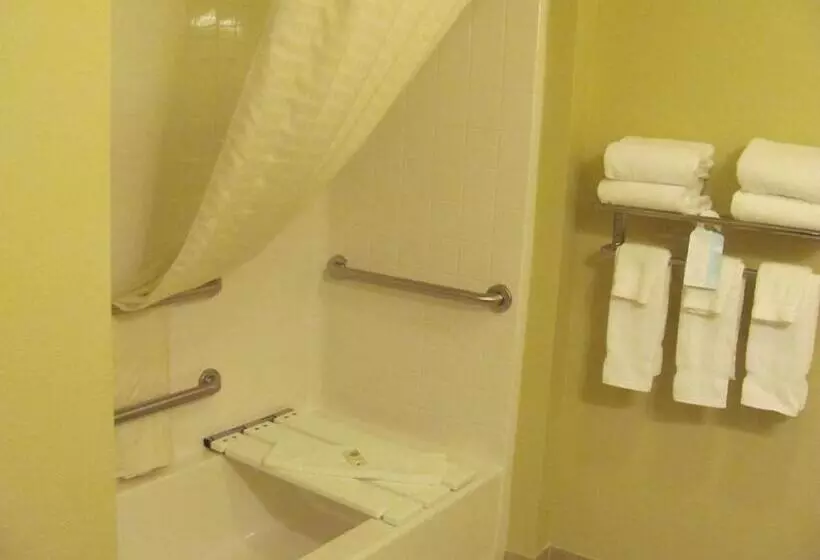 身障者適用キングサイズベッドルーム, Cobblestone Inn & Suites  Ambridge