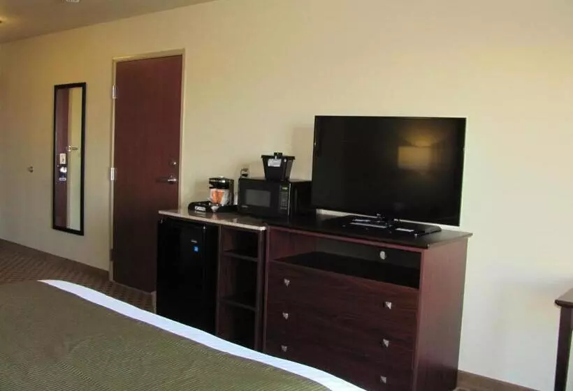 身障者適用キングサイズベッドルーム, Cobblestone Inn & Suites  Ambridge