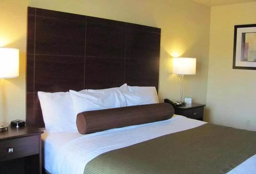 キングサイズベッドのデラックスルーム, Cobblestone Inn & Suites  Ambridge
