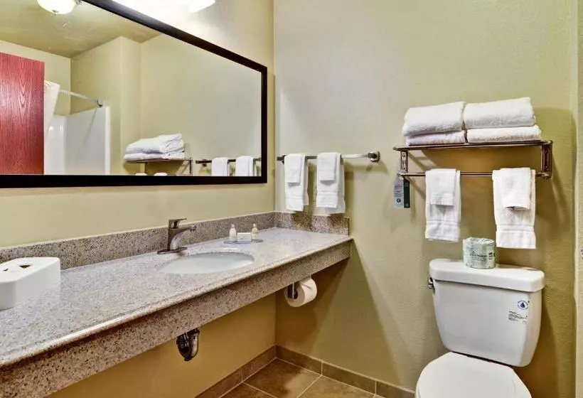 キングサイズベッドのスタンダードルーム, Cobblestone Inn & Suites  Ambridge