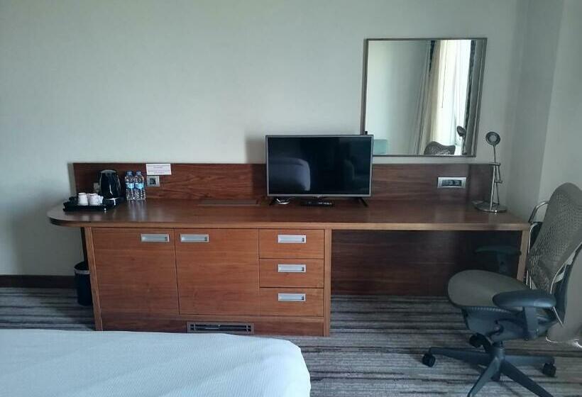 带大床的标准间, Hilton Garden Inn Erzincan