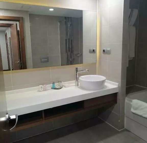 اتاق خانوادگی, Hilton Garden Inn Erzincan