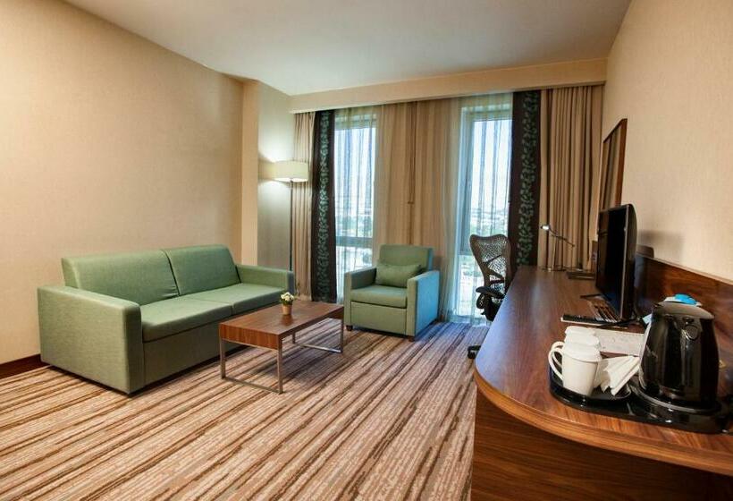 带大床的套房, Hilton Garden Inn Erzincan