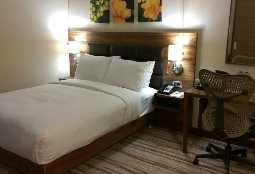 适合残疾人使用的标准间, Hilton Garden Inn Erzincan