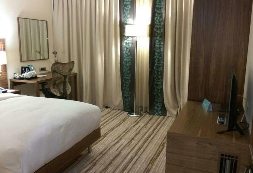 Номер Стандарт Адаптированный для Инвалидов, Hilton Garden Inn Erzincan