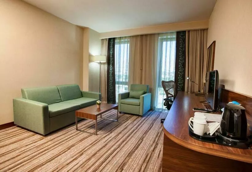 سوئیت با تخت بزرگ, Hilton Garden Inn Erzincan