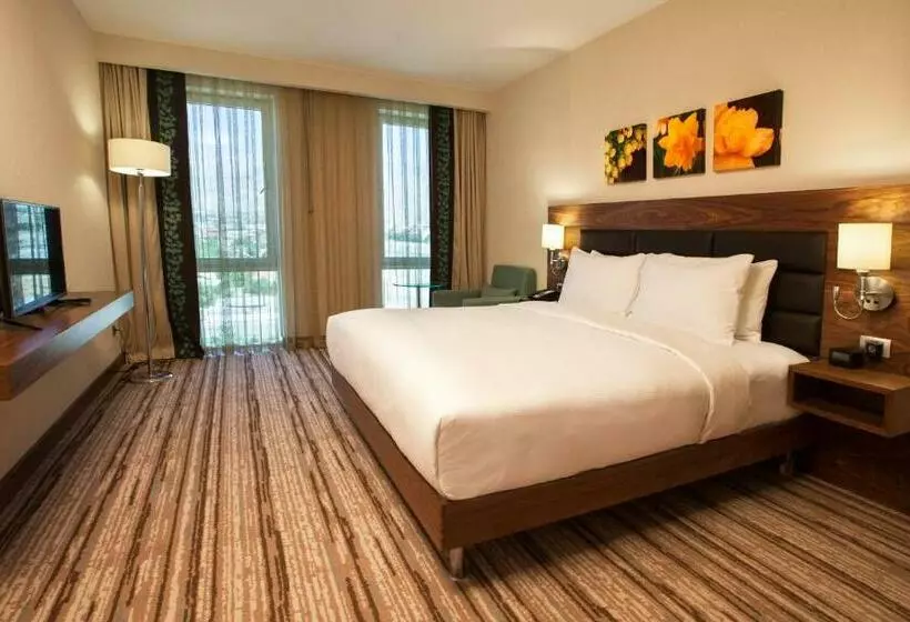 اتاق استاندارد با تخت بزرگ, Hilton Garden Inn Erzincan