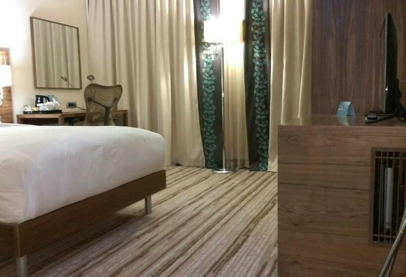 适合残疾人使用的标准间, Hilton Garden Inn Erzincan