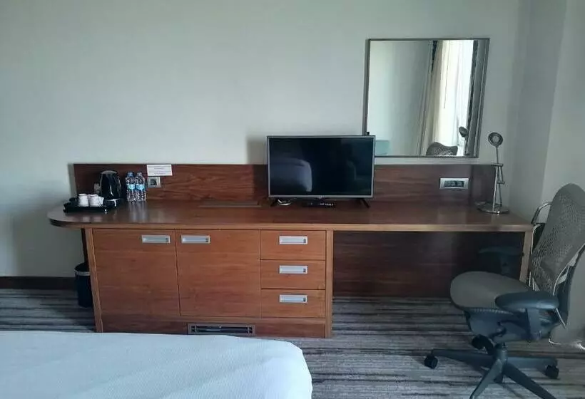 سوئیت با تخت بزرگ, Hilton Garden Inn Erzincan