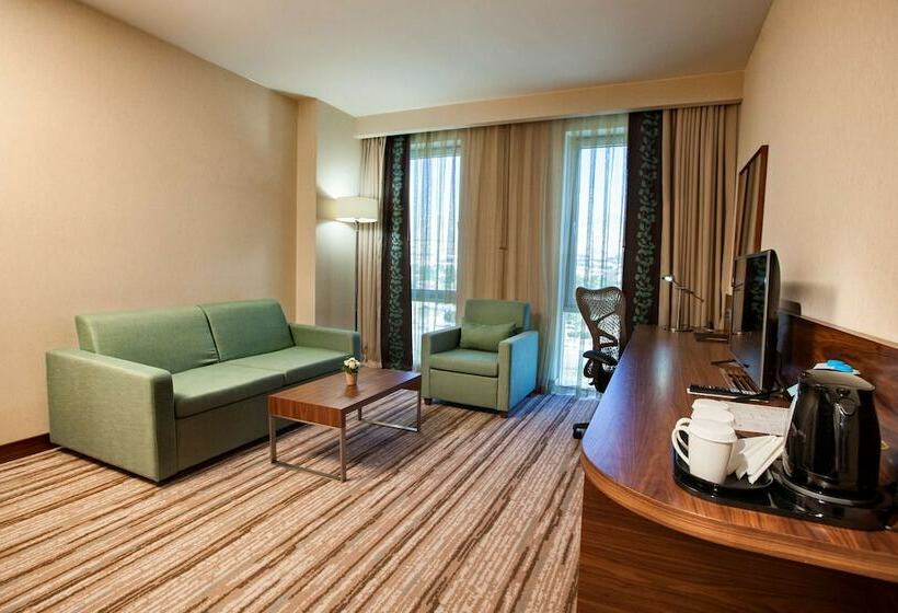 带大床的套房, Hilton Garden Inn Erzincan