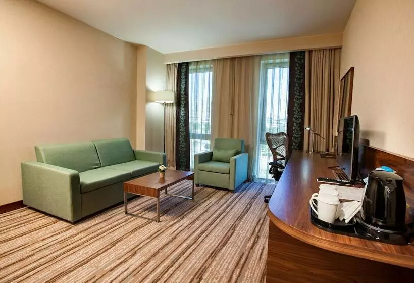 سوئیت با تخت بزرگ, Hilton Garden Inn Erzincan