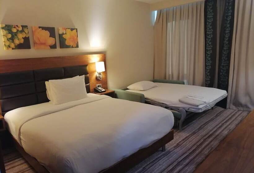 家庭间, Hilton Garden Inn Erzincan