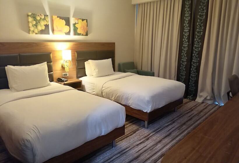 标准间, Hilton Garden Inn Erzincan