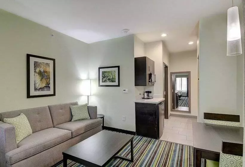 Sviitti, Holiday Inn Express & Suites Carrizo Springs By Ihg