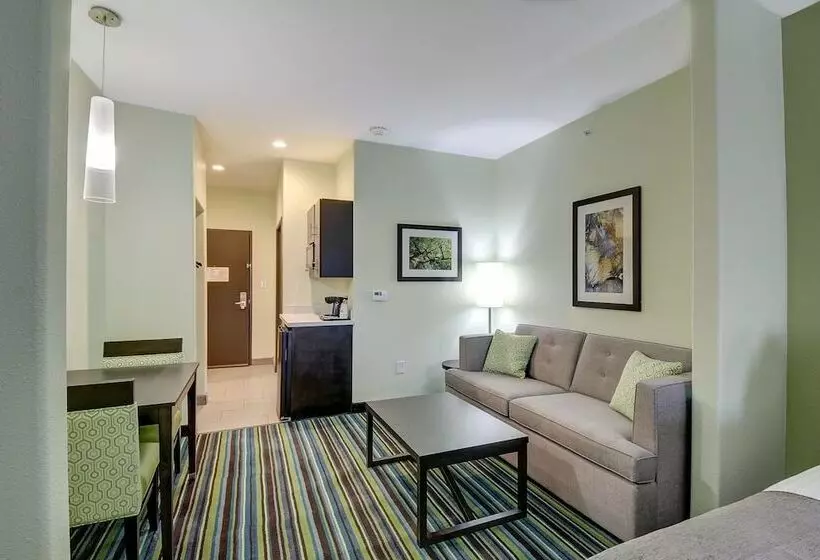 Sviitti, Holiday Inn Express & Suites Carrizo Springs By Ihg