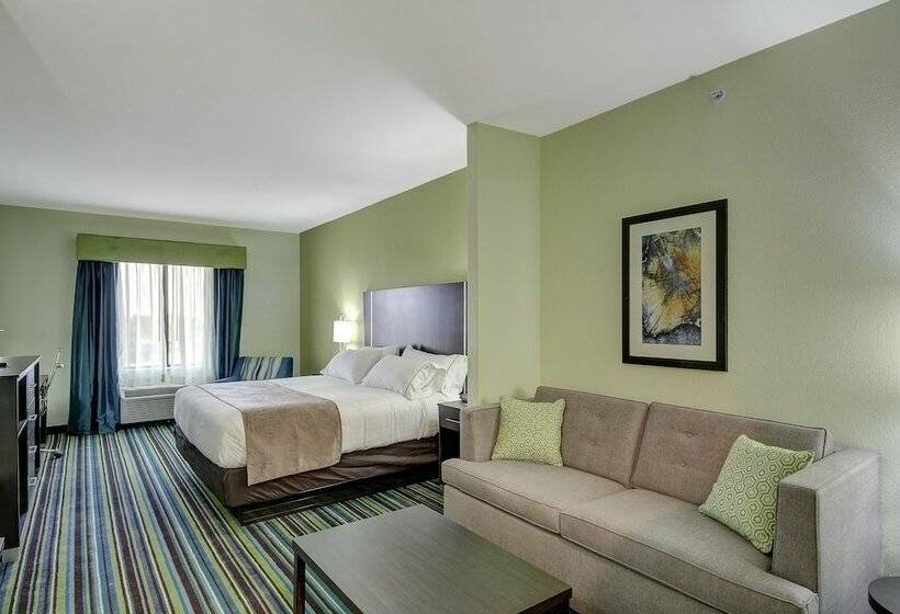 סוויטה מותאמת לאדם עם מוגבלויות, Holiday Inn Express & Suites Carrizo Springs By Ihg