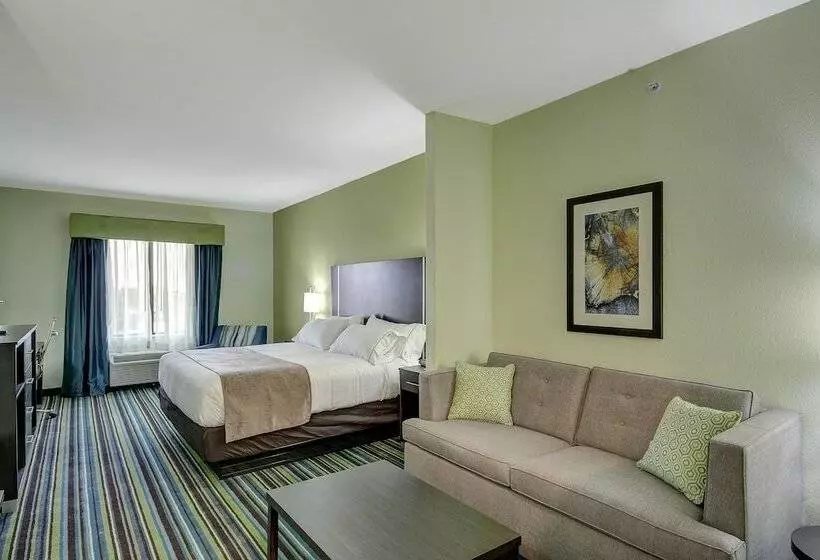 Sviitti Liikuntarajoitteisille, Holiday Inn Express & Suites Carrizo Springs By Ihg