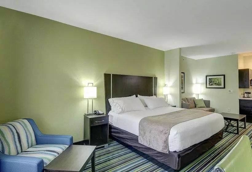 Sviitti Liikuntarajoitteisille, Holiday Inn Express & Suites Carrizo Springs By Ihg