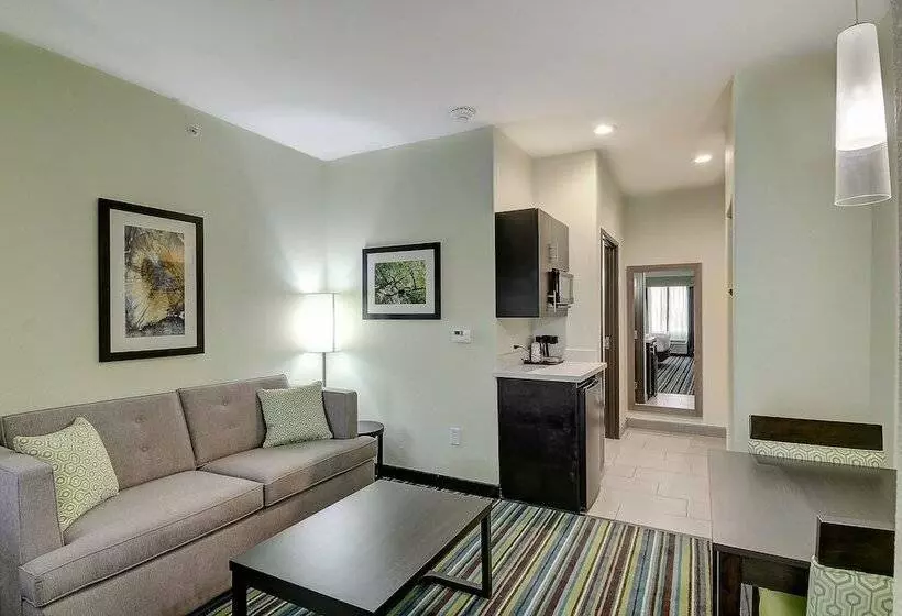 Sviitti Liikuntarajoitteisille, Holiday Inn Express & Suites Carrizo Springs By Ihg