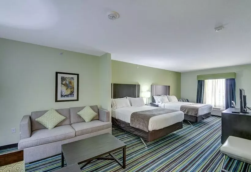 Sviitti Liikuntarajoitteisille, Holiday Inn Express & Suites Carrizo Springs By Ihg