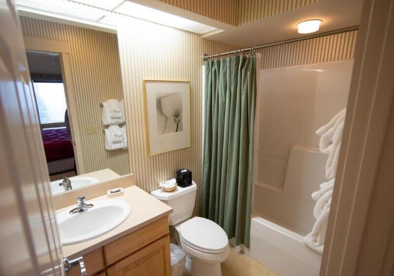 １ベッドルームアパートメント, Okemo Mountain Condo