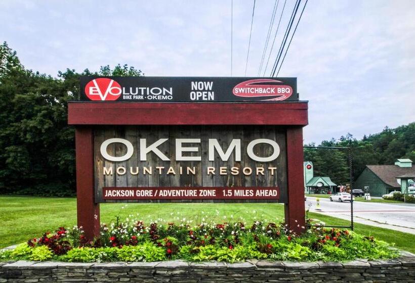 １ベッドルームアパートメント, Okemo Mountain Condo