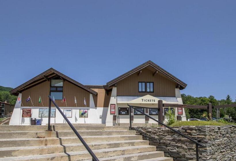 Апартаменты 1 Спальня, Okemo Mountain Condo
