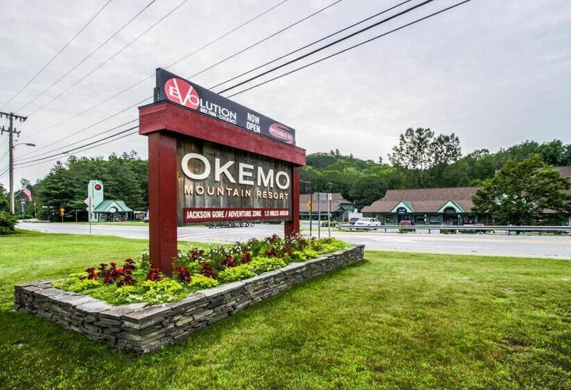 １ベッドルームアパートメント, Okemo Mountain Condo