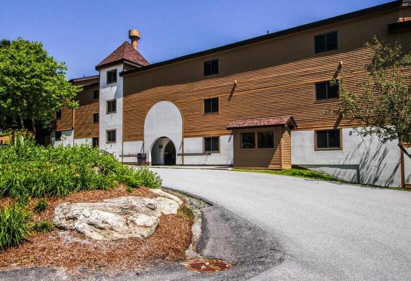 Апартаменты 1 Спальня, Okemo Mountain Condo