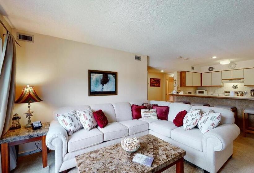 １ベッドルームアパートメント, Okemo Mountain Condo