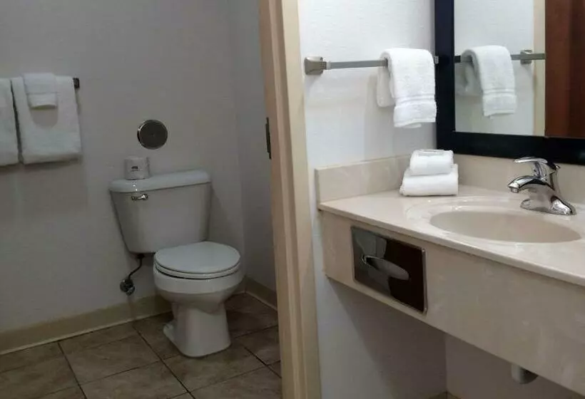 スタンダードルーム, Surestay Hotel By Best Western Whittington Rend Lake