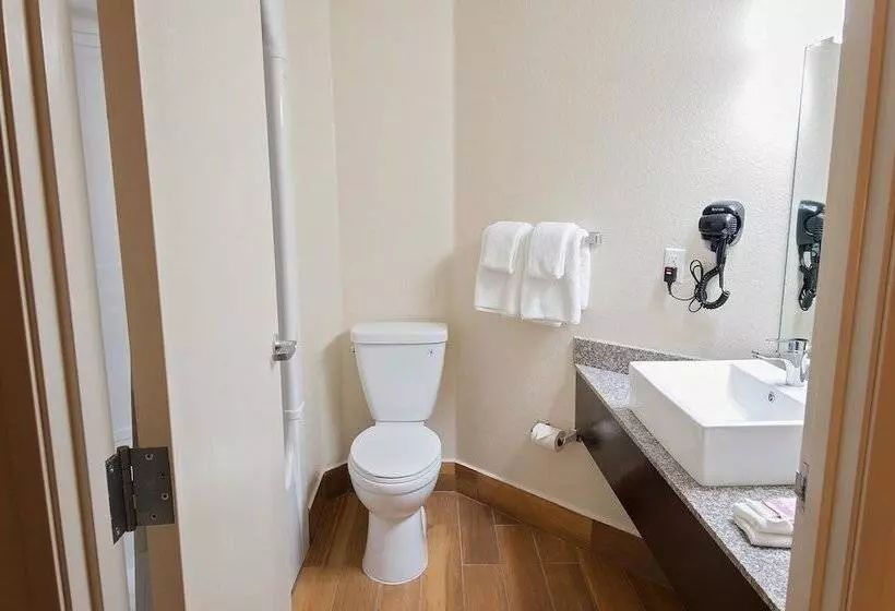 デラックスルーム, Red Roof Inn Georgetown, In   Louisville West