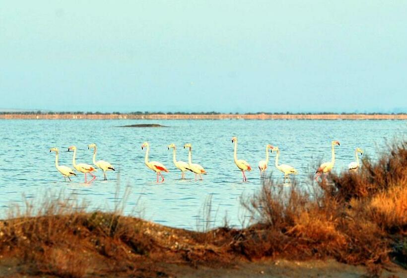 اتاق استاندارد با بالکن و چشمانداز دریا, B&b Bellavista