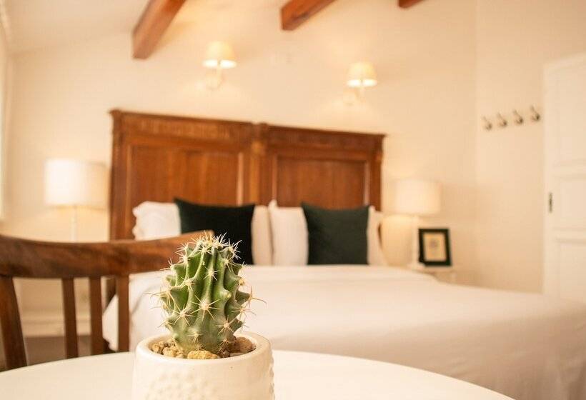 标准间, Panorama Guest House