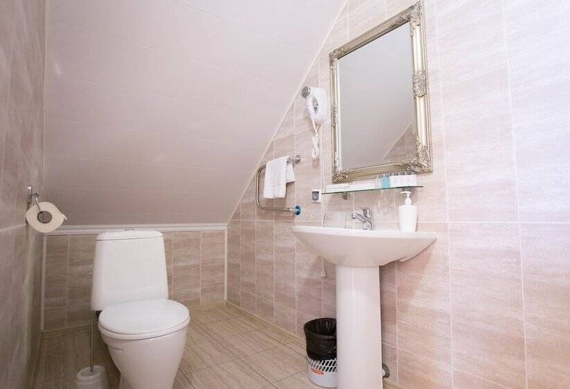 Standard Trippelrum, Aviator Sheremetyevo